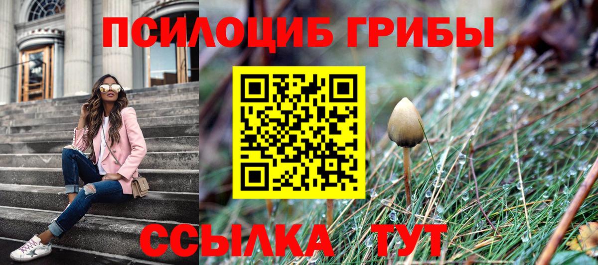 Галлюциногенные грибы MAGIC MUSHROOMS  Псилоцибиновые грибы Cubensis  Вход с VPN  Нефтеюганск 